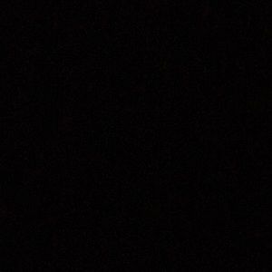 Meet your Posher, Bailey